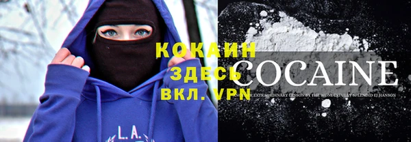 МДПВ Богородск