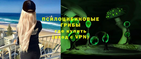 МДПВ Богородск